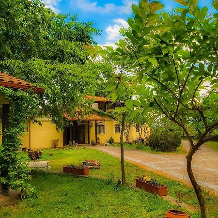 Villa Anthemia Naousa  Екстер'єр фото