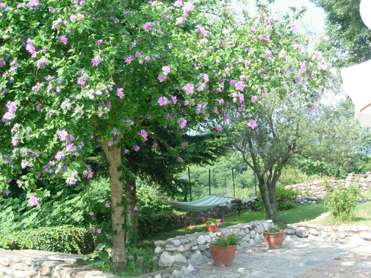 Villa Anthemia Naousa  Екстер'єр фото