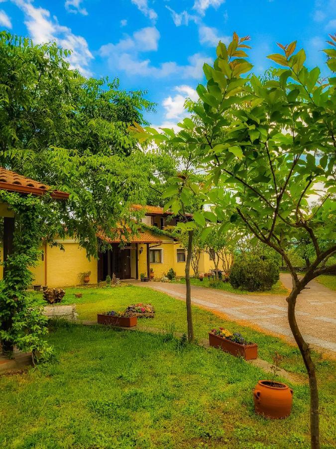 Villa Anthemia Naousa  Екстер'єр фото