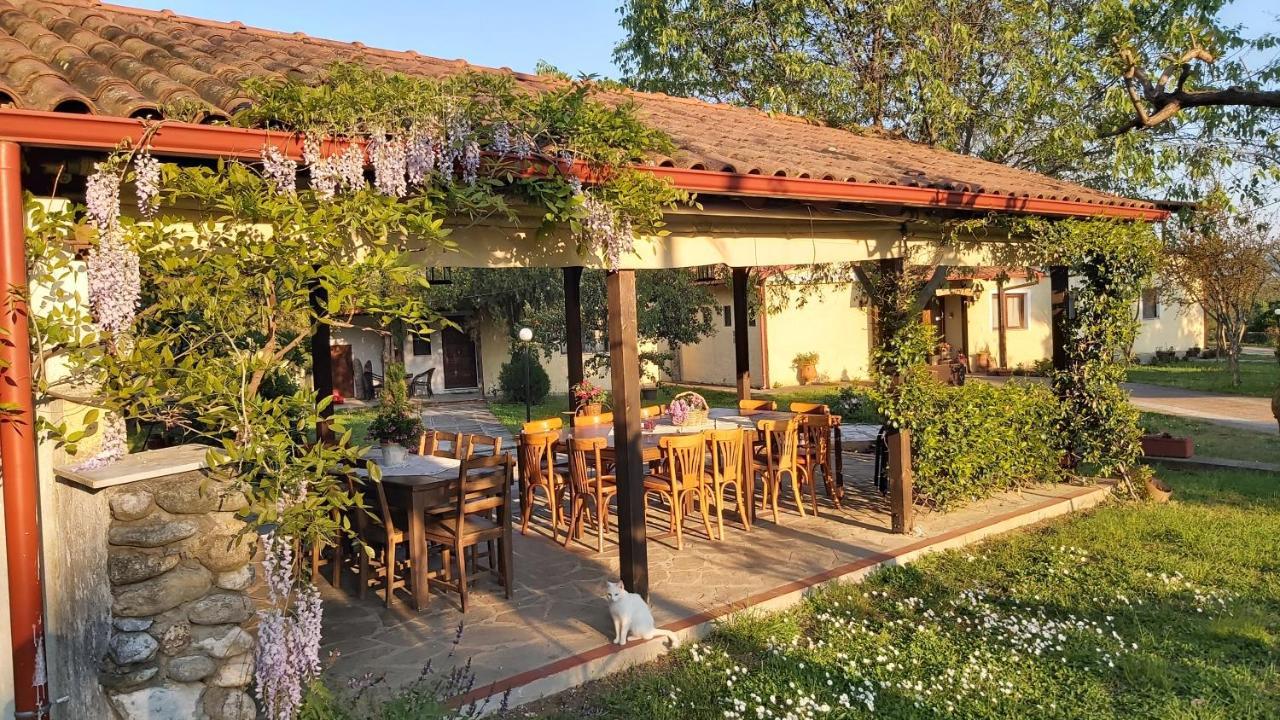 Villa Anthemia Naousa  Екстер'єр фото
