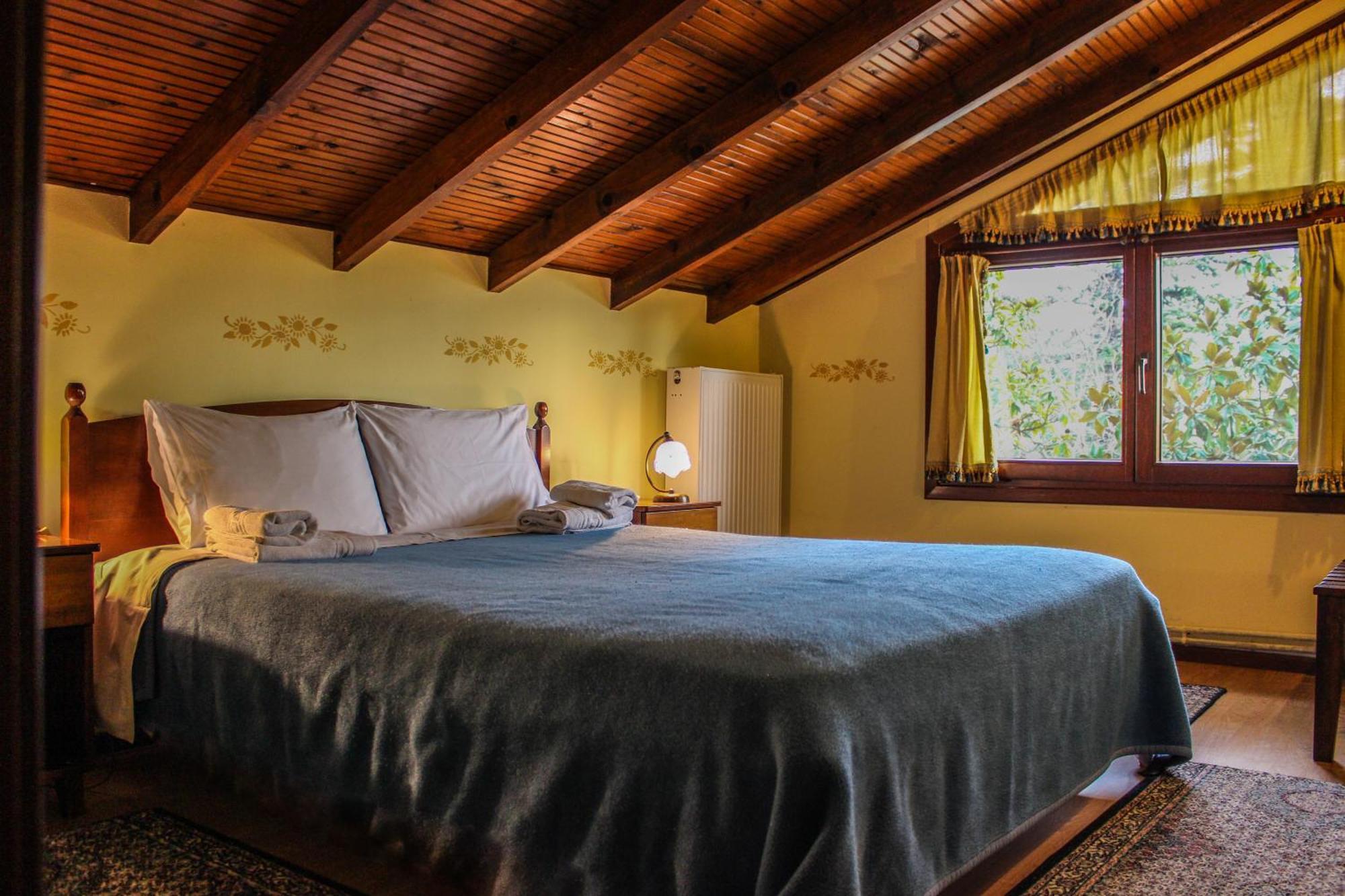 Villa Anthemia Naousa  Екстер'єр фото