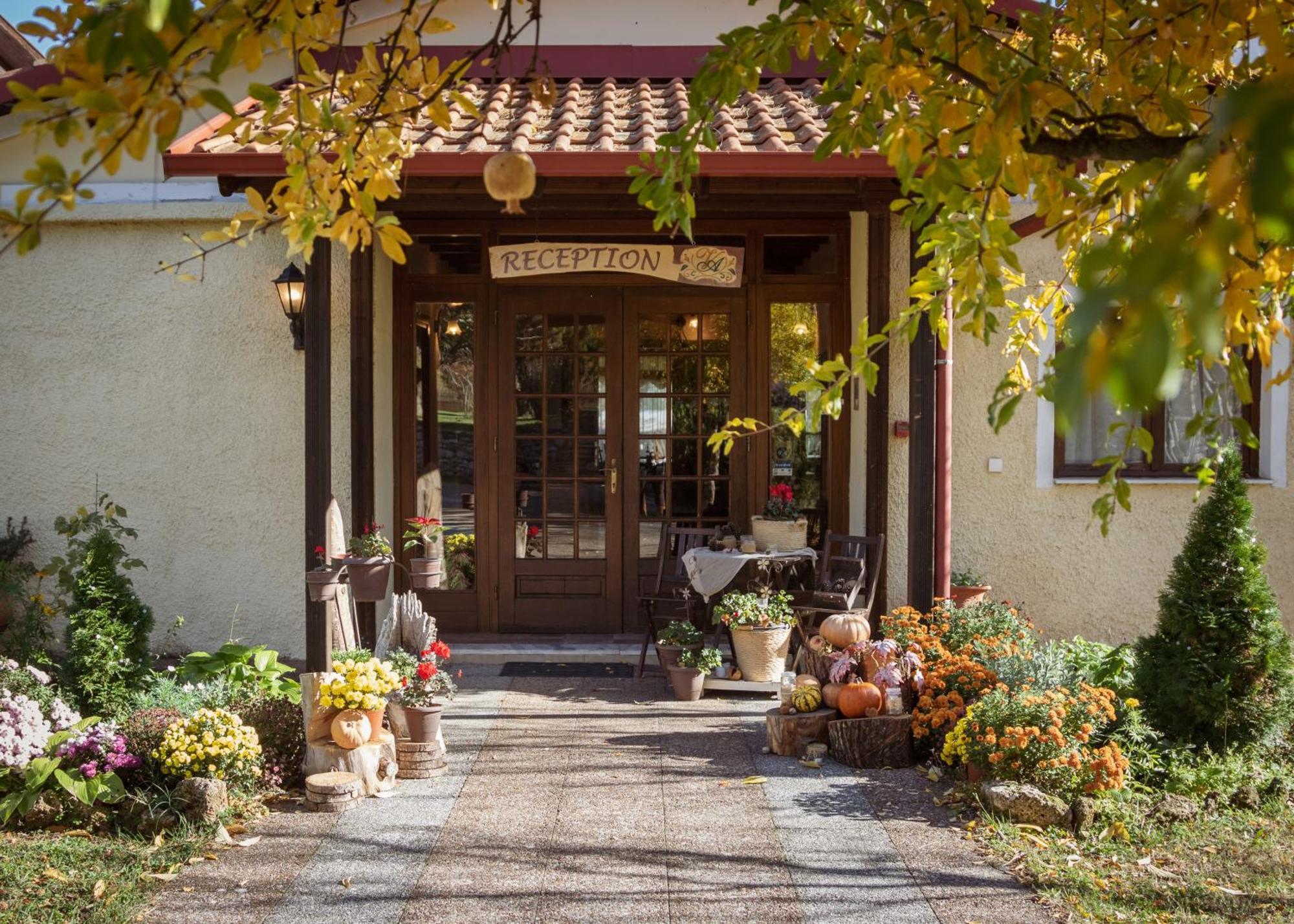 Villa Anthemia Naousa  Екстер'єр фото